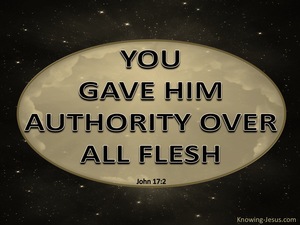 John 17:2